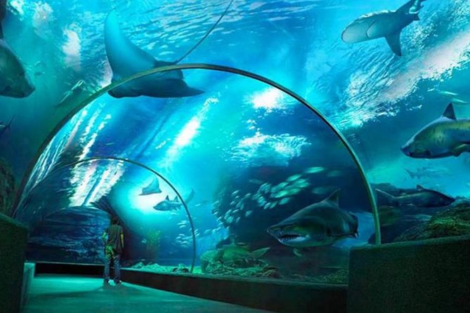 DENİZ YAŞAMI Bangkok Ocean World Giriş Bilet